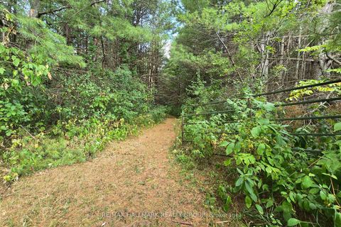 Photo 16 at 00 Upper Dwyer Hill Road, Huntley Ward (South West), Carp