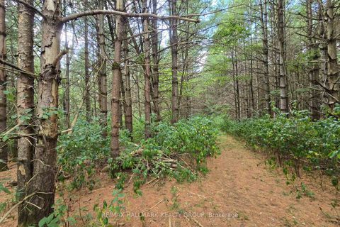 Photo 17 at 00 Upper Dwyer Hill Road, Huntley Ward (South West), Carp