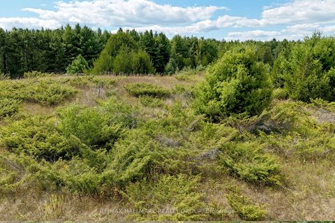 Photo 34 at 00 Upper Dwyer Hill Road, Huntley Ward (South West), Carp
