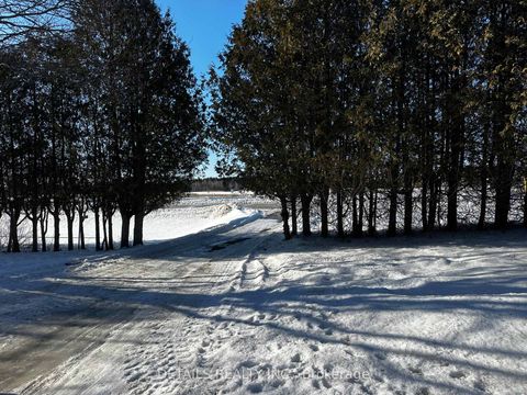 Photo 1 at 2208 Fitzroy Street N, Fitzroy, Carp