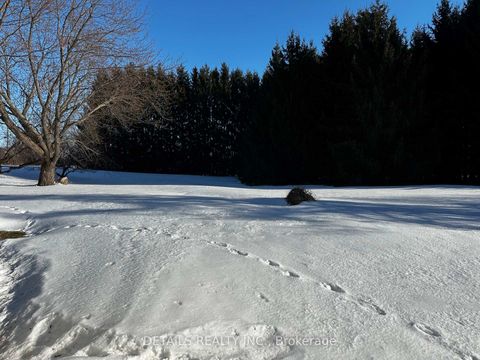 Photo 24 at 2208 Fitzroy Street N, Fitzroy, Carp