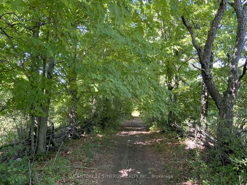 Photo 12 at 00 Lot 2 Houston Road, Drummond N Elmsley (Drummond) Twp, Drummond/North Elmsley