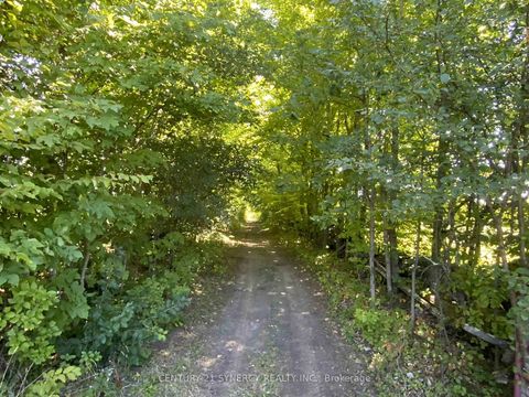 Photo 13 at 00 Lot 2 Houston Road, Drummond N Elmsley (Drummond) Twp, Drummond/North Elmsley