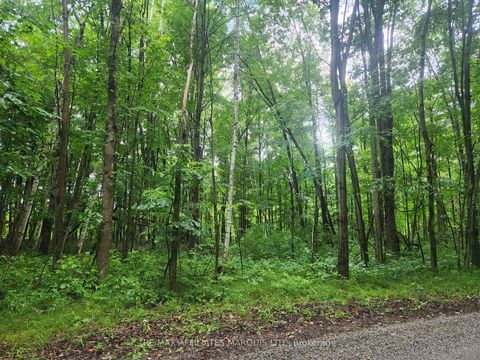 Photo 1 at LOT Cedar Sands Road Way, Rideau Lakes (South Crosby) Twp, Rideau Lakes