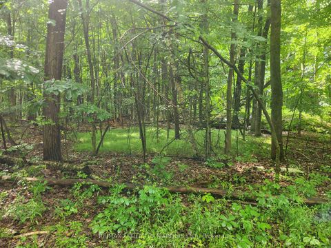 Photo 2 at LOT Cedar Sands Road Way, Rideau Lakes (South Crosby) Twp, Rideau Lakes