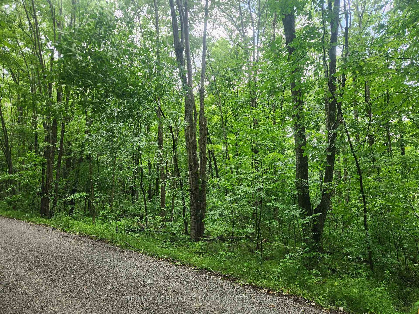 LOT Cedar Sands Road Way, Rideau Lakes (South Crosby) Twp, Rideau Lakes 2