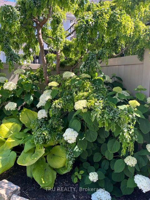 Photo 46 at 126 Pinelock Street, Emerald Meadows/Trailwest, Kanata