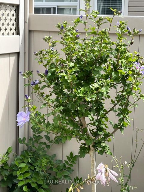 Photo 47 at 126 Pinelock Street, Emerald Meadows/Trailwest, Kanata