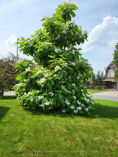 Photo 45 at 6355 Sablewood Place, Chapel Hill, Orleans