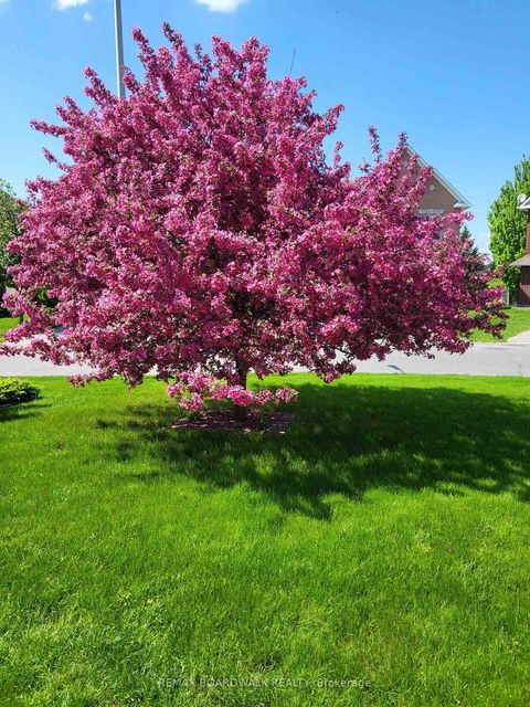 Photo 46 at 6355 Sablewood Place, Chapel Hill, Orleans