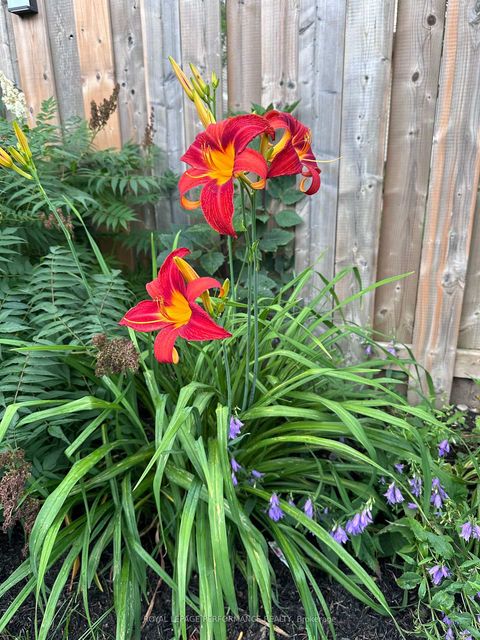 Photo 46 at 1310 Prestone Drive N, Bilberry Creek/Queenswood Heights, Orleans