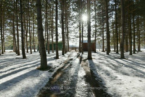 Photo 38 at 207 Ferguson Falls Road, Lanark Highlands (Lanark) Twp, Lanark Highlands