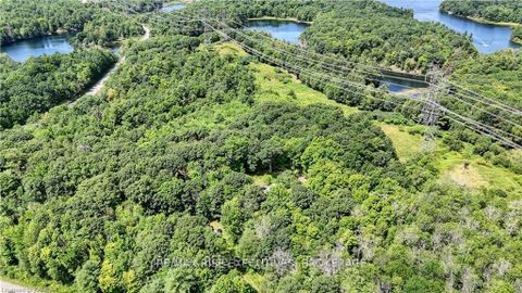 Photo 3 at PT LT 6 Sand Lake Road, Rideau Lakes (South Crosby) Twp, Rideau Lakes