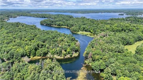 Photo 9 at PT LT 6 Sand Lake Road, Rideau Lakes (South Crosby) Twp, Rideau Lakes