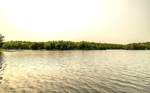 Photo 46 at 164A Deans Island Road, Rideau Lakes (South Crosby) Twp, Rideau Lakes