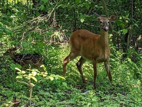 Photo 39 at 14b - 166 O'Brien Lake Lane, Bathurst/Burgess & Sherbrooke (South Sherbrooke) Twp, Tay Valley