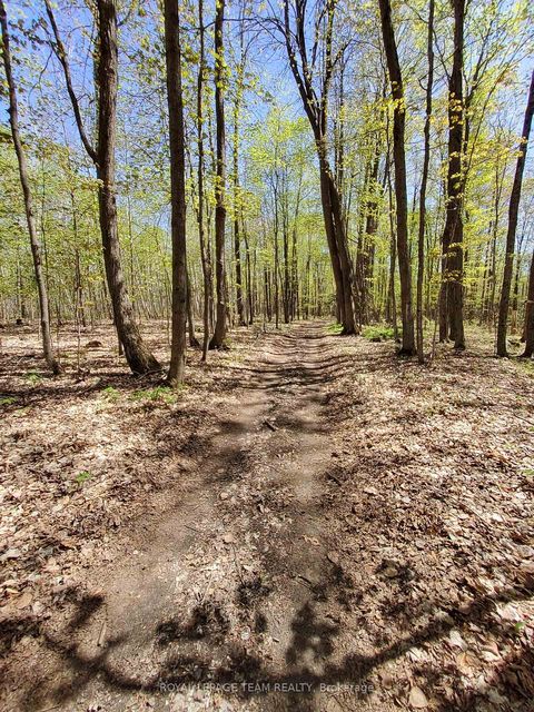 Photo 5 at  Totem Ranch Road, Edwardsburgh/Cardinal Twp, Edwardsburgh/Cardinal