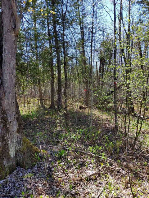 Photo 7 at  Totem Ranch Road, Edwardsburgh/Cardinal Twp, Edwardsburgh/Cardinal