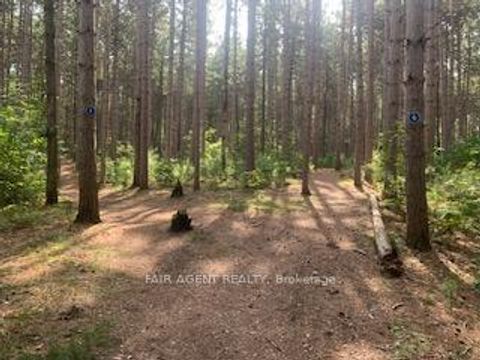 Photo 31 at 164 Baillie Avenue, Constance Bay