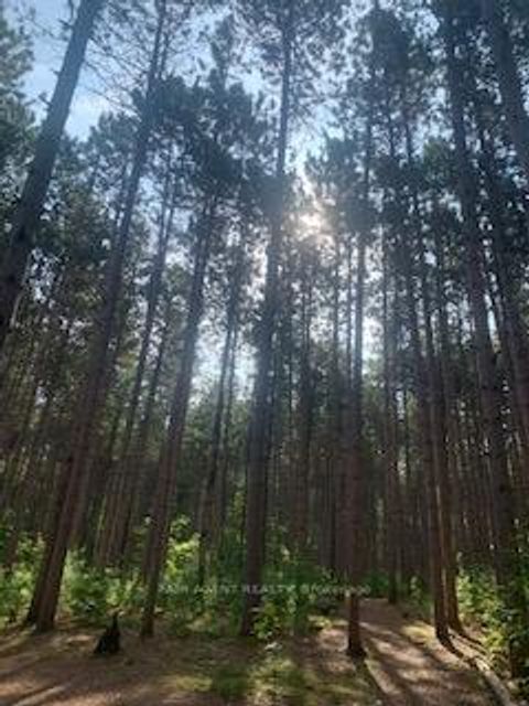 Photo 32 at 164 Baillie Avenue, Constance Bay