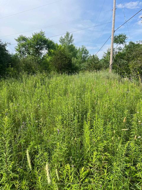 Photo 2 at  Pt Lt 14 Con 3, Rideau Lakes (North Crosby) Twp, Rideau Lakes