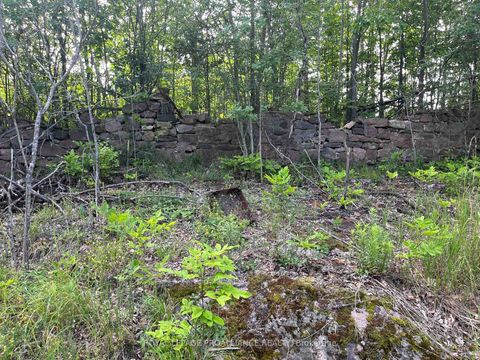 Photo 3 at  Pt Lt 14 Con 3, Rideau Lakes (North Crosby) Twp, Rideau Lakes