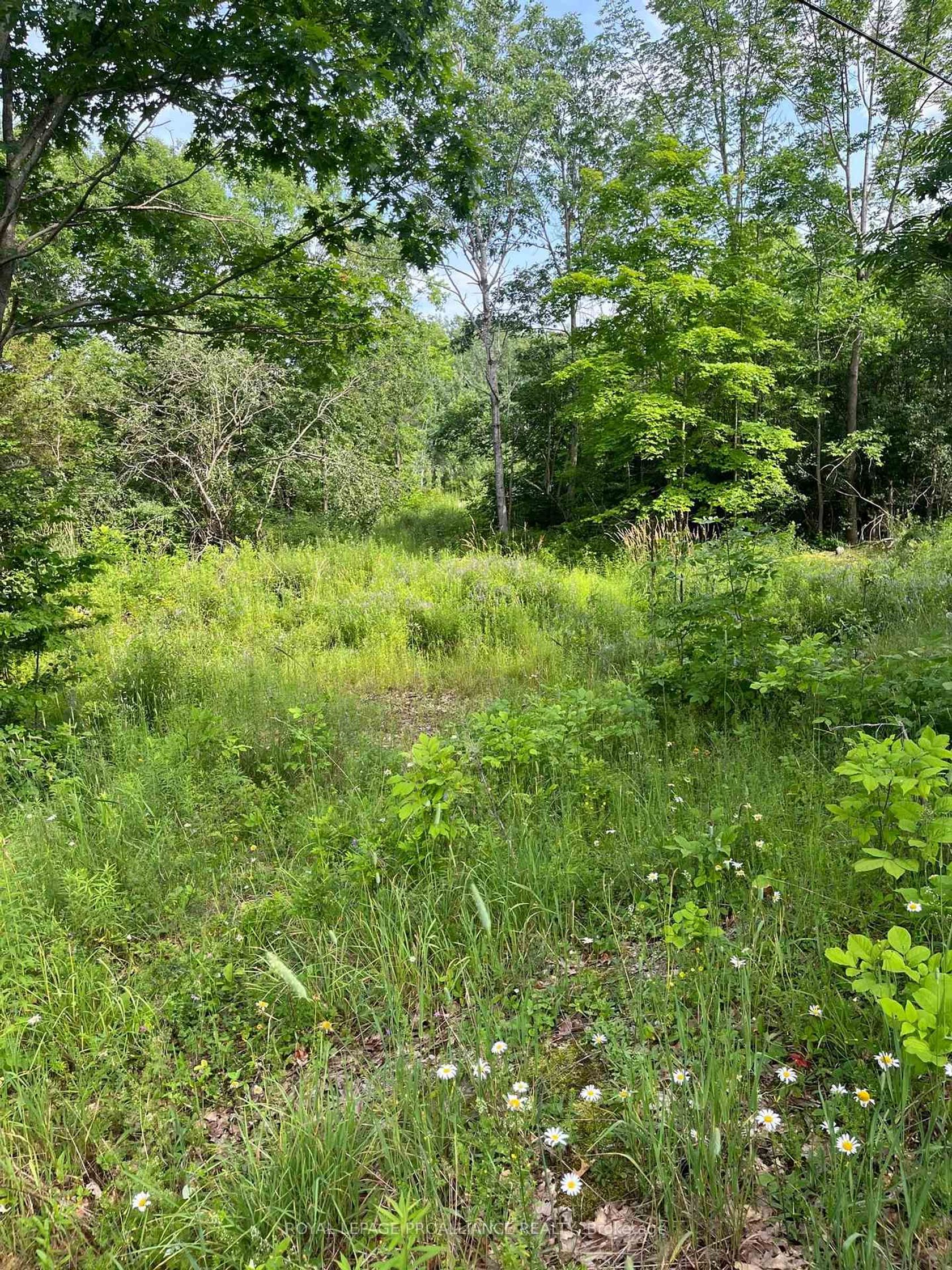  Pt Lt 14 Con 3, Rideau Lakes (North Crosby) Twp, Rideau Lakes 2