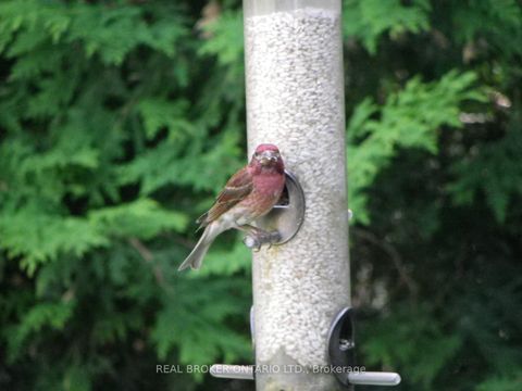 Photo 36 at 392 Country Street, Almonte, Mississippi Mills