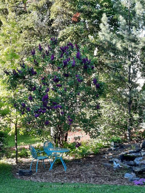 Photo 37 at 392 Country Street, Almonte, Mississippi Mills