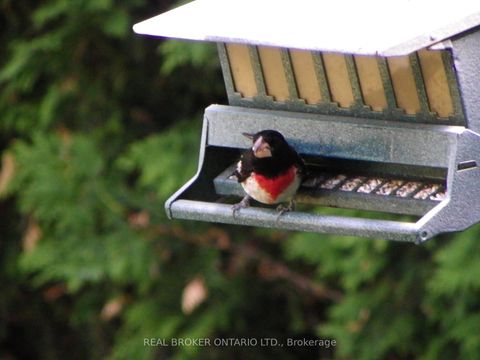 Photo 38 at 392 Country Street, Almonte, Mississippi Mills