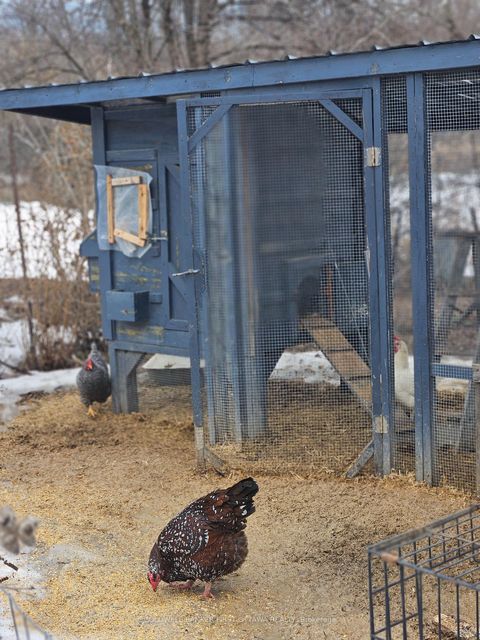 Photo 30 at 2752 Tennyson Road, Drummond N Elmsley (Drummond) Twp, Drummond/North Elmsley