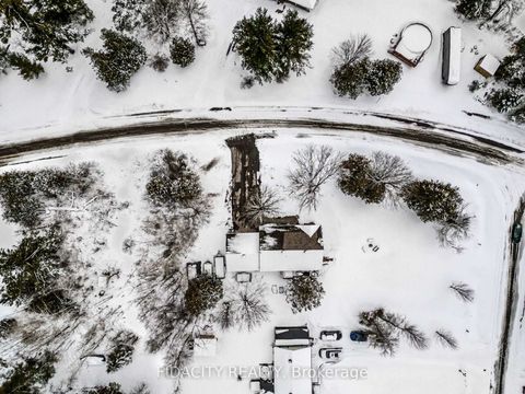 Photo 36 at 266 Clifford Campbell Street, Fitzroy, Carp