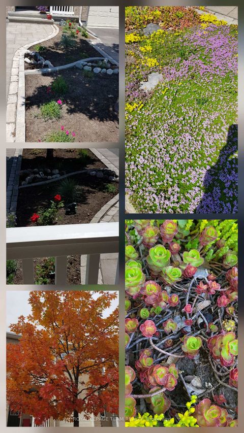 Photo 48 at 319 Kingbrook Drive, Bridlewood, Kanata