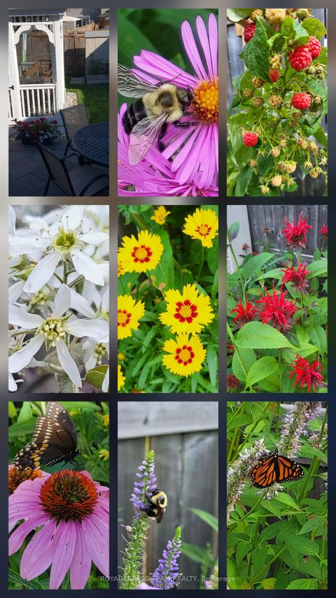 Photo 49 at 319 Kingbrook Drive, Bridlewood, Kanata