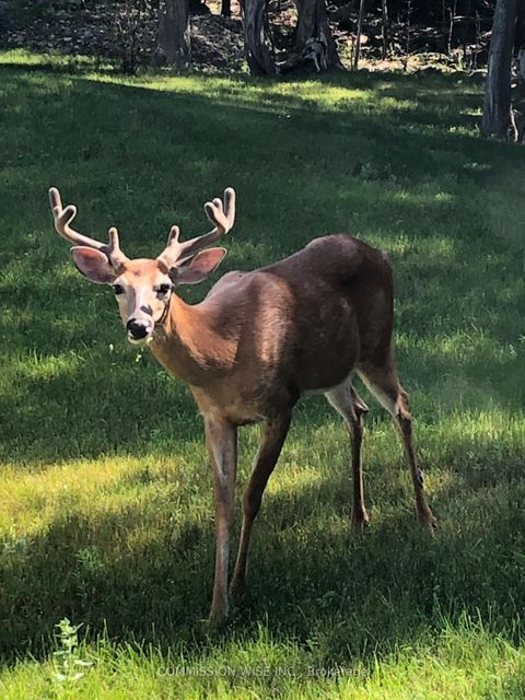 Photo 27 at 185 Morris Island Drive, Fitzroy, Carp