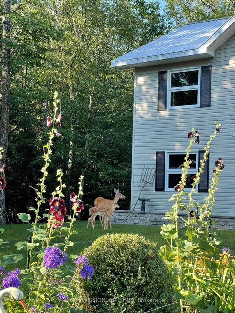 Photo 28 at 185 Morris Island Drive, Fitzroy, Carp