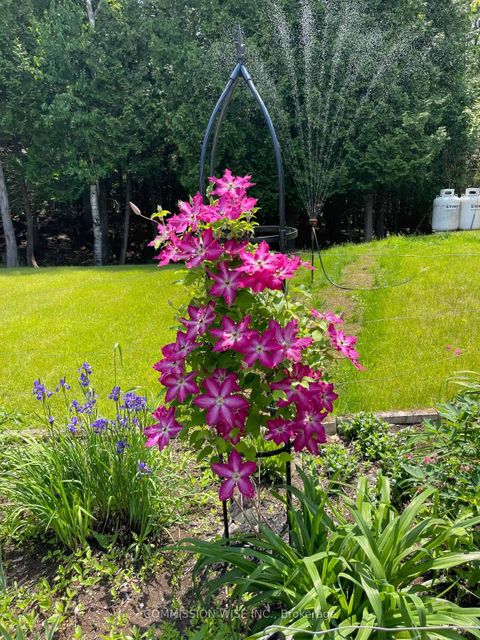 Photo 29 at 185 Morris Island Drive, Fitzroy, Carp