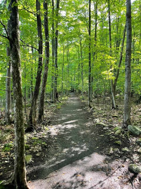 Photo 37 at 185 Morris Island Drive, Fitzroy, Carp