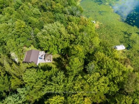 Photo 10 at 272 Cedar Sands Road S, Rideau Lakes (South Crosby) Twp, Rideau Lakes