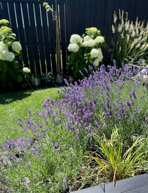 Photo 34 at 358 Gerry Lalonde Drive, Avalon West, Orleans