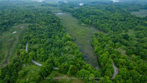 Photo 18 at 384 Big Crosby Lake Road, Rideau Lakes (North Crosby) Twp, Rideau Lakes