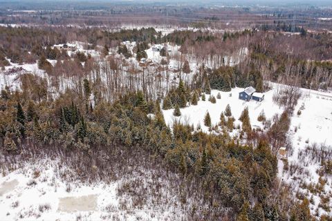 Photo 29 at 1668 Nolans Road, Montague Twp, Montague