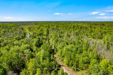 Photo 13 at Lot 4-5 McLellan Road, Beckwith Twp, Beckwith