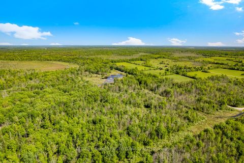 Photo 14 at Lot 4-5 McLellan Road, Beckwith Twp, Beckwith