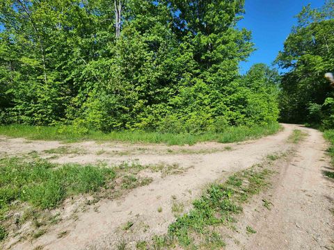 Photo 22 at Lot 4-5 McLellan Road, Beckwith Twp, Beckwith