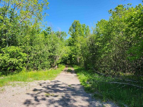 Photo 23 at Lot 4-5 McLellan Road, Beckwith Twp, Beckwith