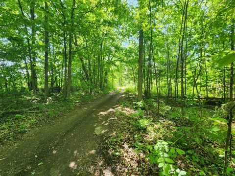 Photo 24 at Lot 4-5 McLellan Road, Beckwith Twp, Beckwith