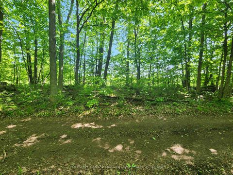 Photo 25 at Lot 4-5 McLellan Road, Beckwith Twp, Beckwith
