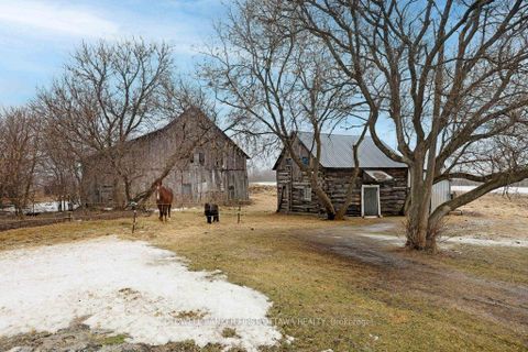 Photo 45 at 3968 Diamondview Road, Fitzroy, Carp