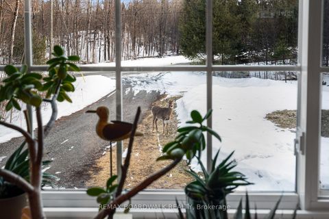 Photo 9 at 228 Stewart Gibson Road, Lanark Highlands (Lanark) Twp, Lanark Highlands